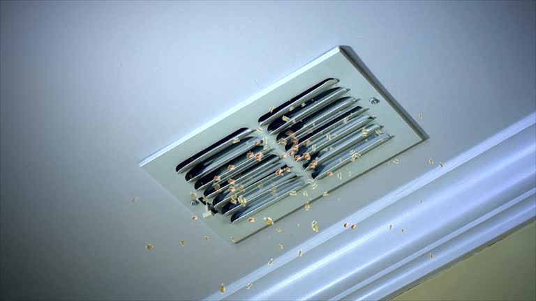 Best Ventilation Cleaning Services  in Roundup, MT
