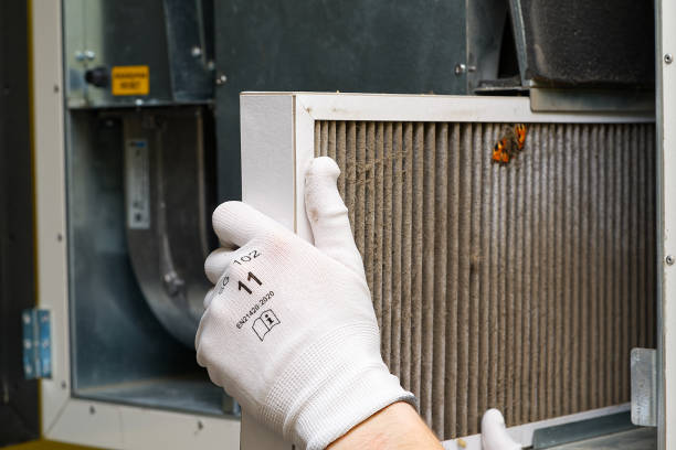 Best Home Air Vent Cleaning  in Roundup, MT