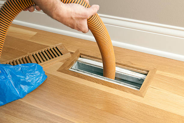 Best Air Vent Cleaning Services  in Roundup, MT
