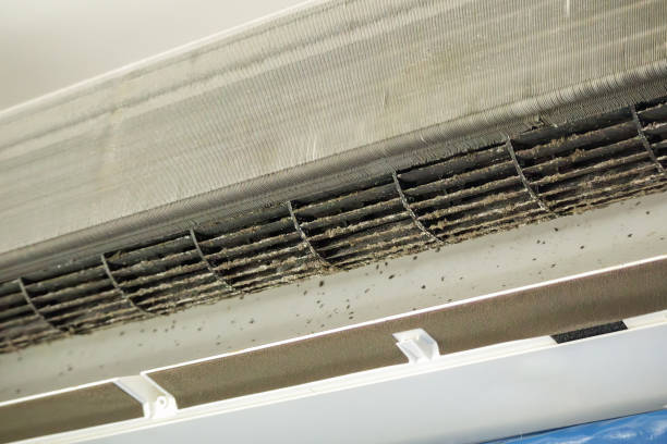 Best Commercial Air Duct Cleaning  in Roundup, MT